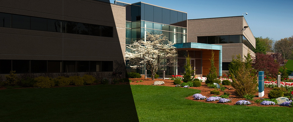 Rancho Cordova Landscapers