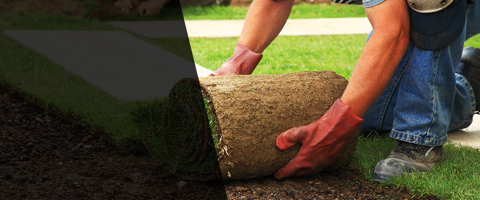 Rancho Cordova Landscapers